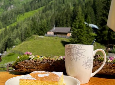 Ausblick