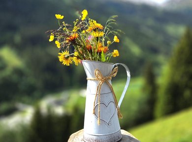 Kematenhütte Bad Hofgastein Blumen