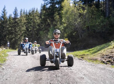 Mountaincart Sommer