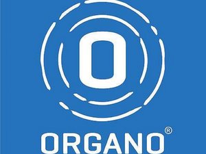 organo1