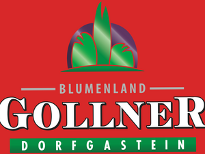 logo_Gollner_schrift_weiß_HG_rot 2