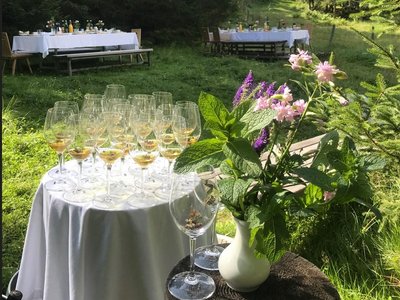 Wald Brunch3