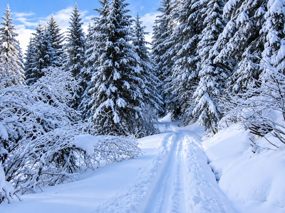 Schneeschuhtrail