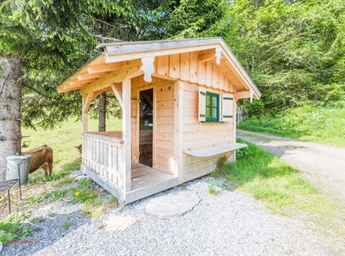 Hohensteinhütte Bad Hofgastein Almliesl  Sauna
