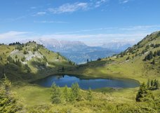 Paarseen-1.jpg
