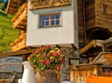 Felding Alm Sendlhofer Bad Hofgastein Jause