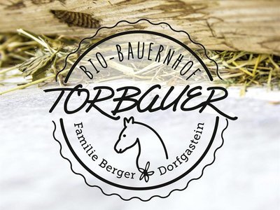 Logo Torbauer