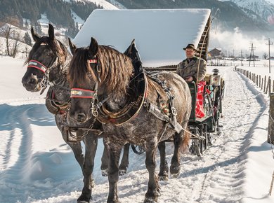 Pferdeschlitten Torbauer