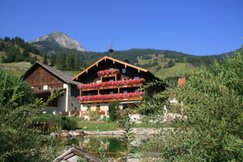 Amosergut-Dorfgastein-Haus-Ansicht-Sommer.jpg