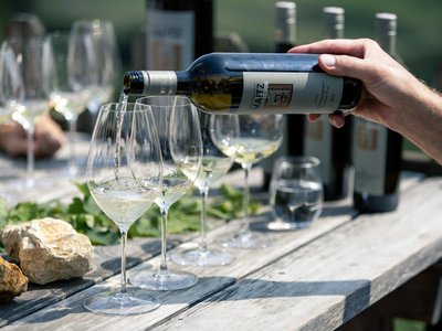 Wine