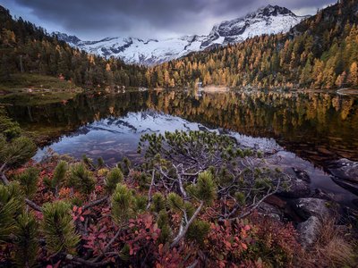 Reedsee Herbst