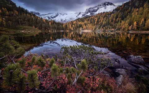 Reedsee-Herbst.jpg