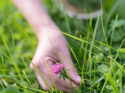 Naturesa
