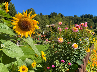 Blumen