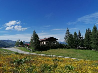 Stubneralm_