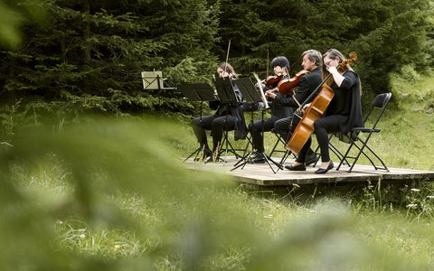Wald:Klassik.
