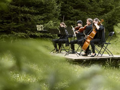 Wald:Klassik.