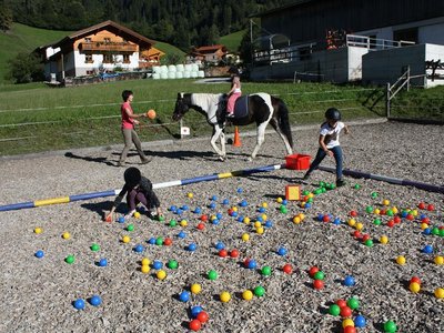 Tobhartbauer Reiten 3