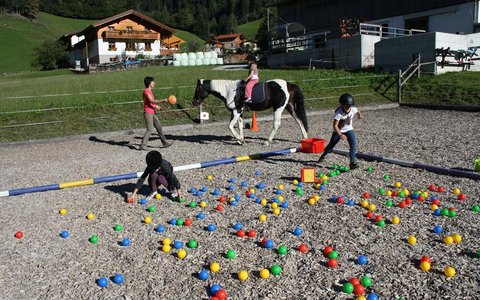 Tobhartbauer-Reiten-3.jpg