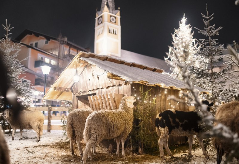 Adventmarkt Bad Hofgastein Schafherde