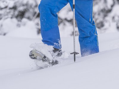 Schneeschuh1