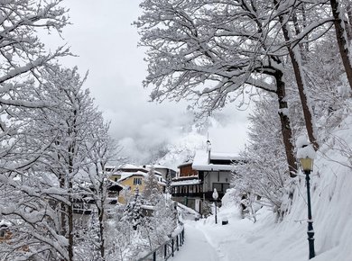 Kwp wINTER