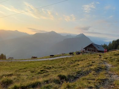 hauptbild Zittraueralm