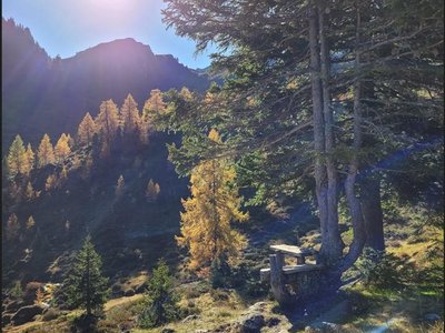 Leidalm1
