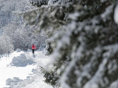 Winterwandern