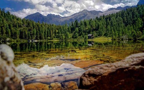 Reedsee.jpg