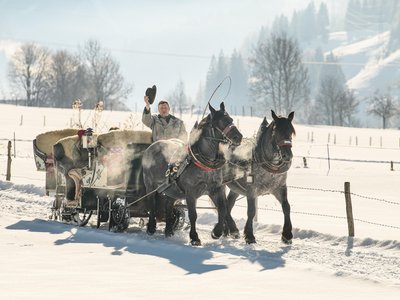Pferdeschlitten Hans Berger